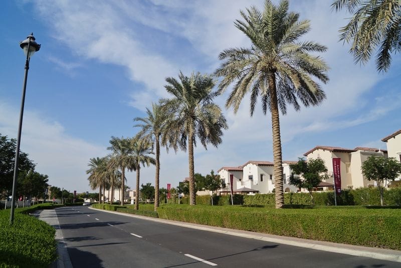 Cherrywoods Dubai real estate guide